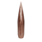 .243-090-SCP2 Projectile (50ct)