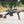 COBRA - Precision Stock