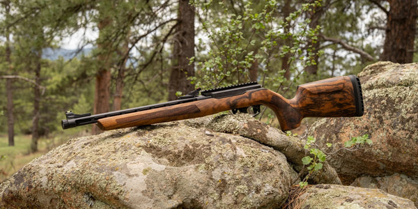 The Elegante Hybrid